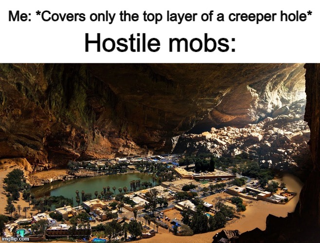 If there's space, a whole town-size group of mobs will space in the creeper hole @_@ | Me: *Covers only the top layer of a creeper hole*; Hostile mobs: | made w/ Imgflip meme maker