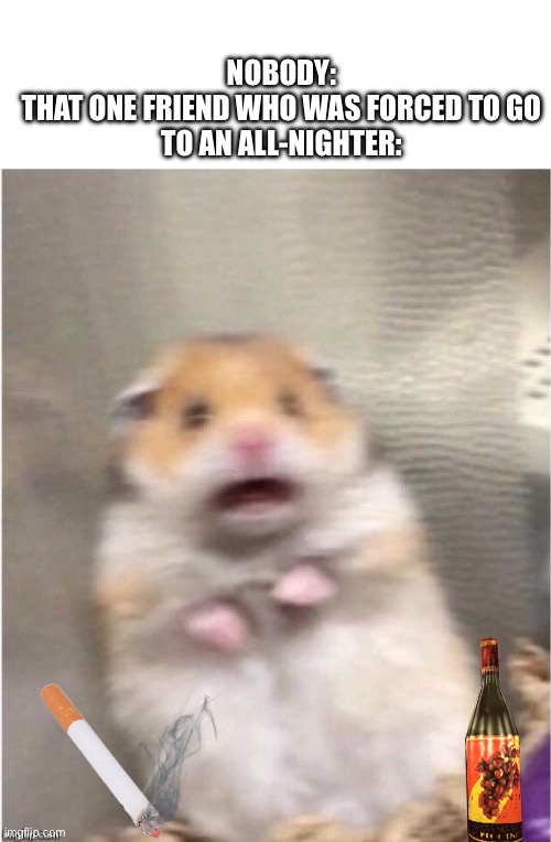We all have that one friend | NOBODY:

THAT ONE FRIEND WHO WAS FORCED TO GO TO AN ALL-NIGHTER: | image tagged in scared hamster,party,scared,oh no | made w/ Imgflip meme maker