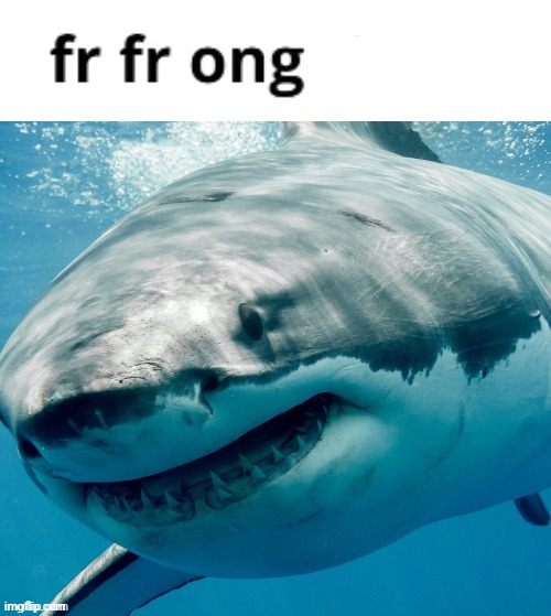 fr fr ong shark | image tagged in fr fr ong shark | made w/ Imgflip meme maker