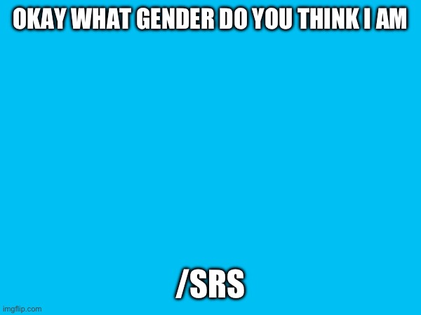 OKAY WHAT GENDER DO YOU THINK I AM; /SRS | made w/ Imgflip meme maker