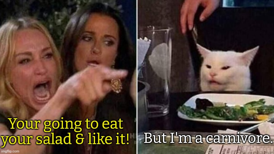 Most vegans aren't like this. | But I'm a carnivore. Your going to eat your salad & like it! | image tagged in woman yelling at cat,that vegan teacher,karen,meat,circle of life,stop using anti-animal language | made w/ Imgflip meme maker