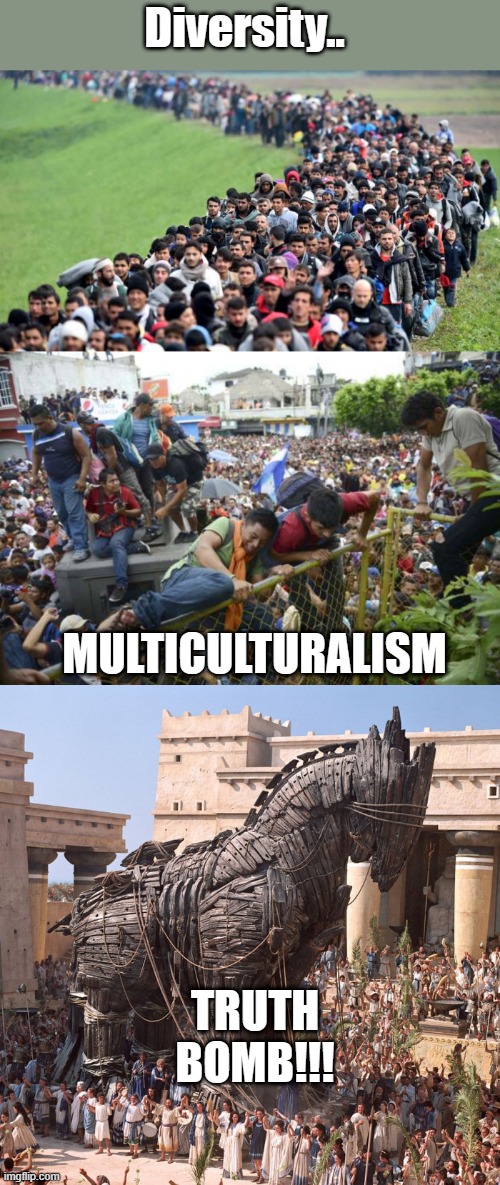 I'm sure some moderator will call it racist, I call it fact. | Diversity.. MULTICULTURALISM; TRUTH BOMB!!! | image tagged in democrats,traitors,nwo | made w/ Imgflip meme maker