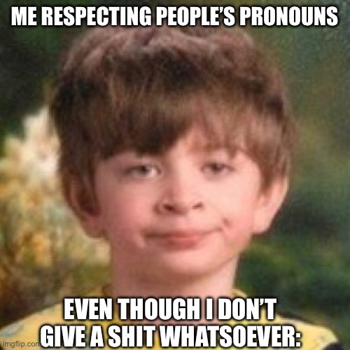 Annoyed face | ME RESPECTING PEOPLE’S PRONOUNS; EVEN THOUGH I DON’T GIVE A SHIT WHATSOEVER: | image tagged in annoyed face | made w/ Imgflip meme maker