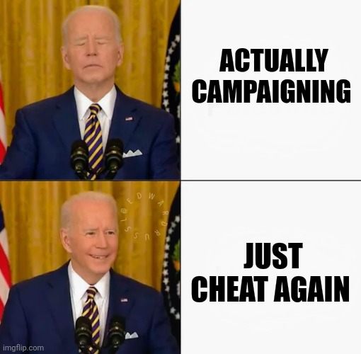 ACTUALLY CAMPAIGNING JUST CHEAT AGAIN | image tagged in brandon and joe bling | made w/ Imgflip meme maker