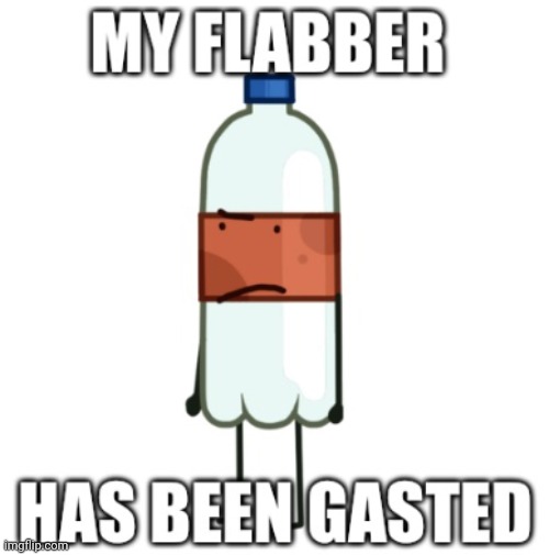 my flabber has been gasted | image tagged in my flabber has been gasted | made w/ Imgflip meme maker