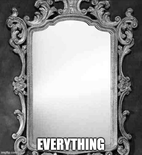 Mirror | EVERYTHING | image tagged in mirror | made w/ Imgflip meme maker