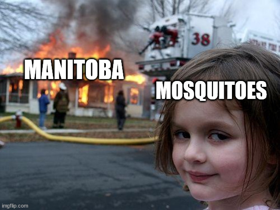 no! not again! | MOSQUITOES; MANITOBA | image tagged in memes,disaster girl,mosquitoes | made w/ Imgflip meme maker