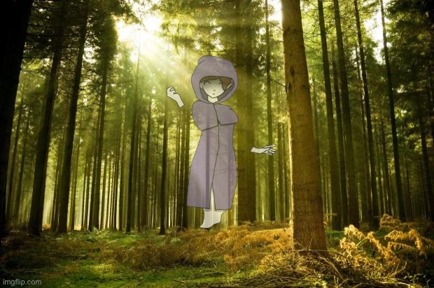 The Living Ghost Chapter 3 | image tagged in sunlit forest | made w/ Imgflip meme maker
