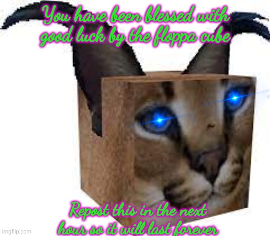 floppa cube | You have been blessed with good luck by the floppa cube; Repost this in the next hour so it will last forever | image tagged in floppa cube | made w/ Imgflip meme maker