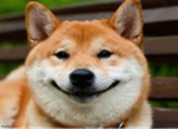 Smug Doge | image tagged in smug doge | made w/ Imgflip meme maker