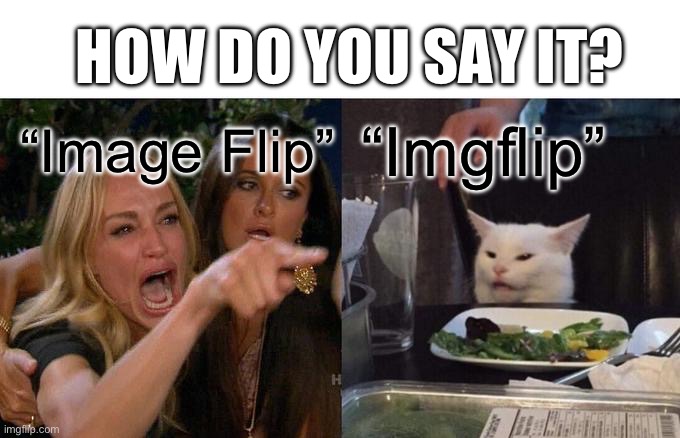 How do you say tho? | HOW DO YOU SAY IT? “Image Flip”; “Imgflip” | image tagged in memes,woman yelling at cat | made w/ Imgflip meme maker