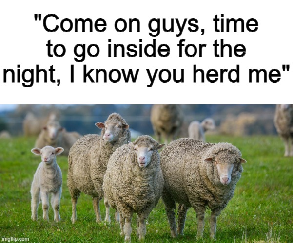 Lol :] | "Come on guys, time to go inside for the night, I know you herd me" | made w/ Imgflip meme maker