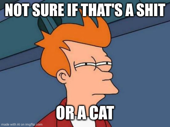 Futurama Fry | NOT SURE IF THAT'S A SHIT; OR A CAT | image tagged in memes,futurama fry,ai meme | made w/ Imgflip meme maker