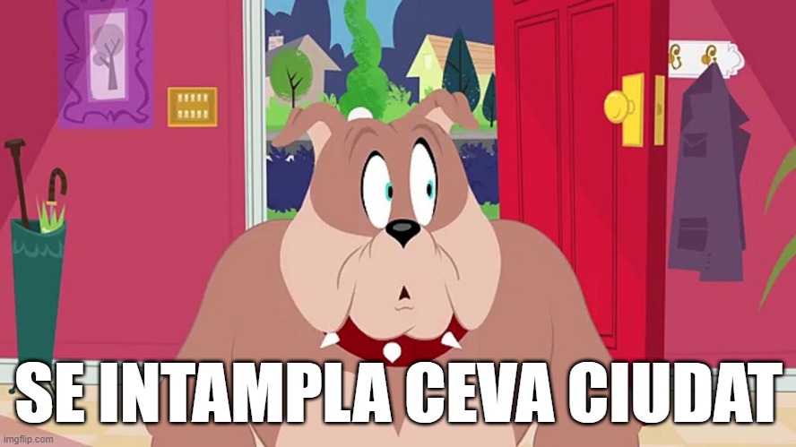 SE INTAMPLA CEVA CIUDAT | made w/ Imgflip meme maker