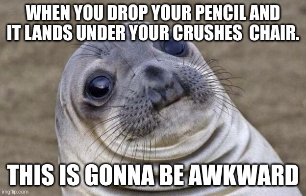 Awkward Moment Sealion | WHEN YOU DROP YOUR PENCIL AND IT LANDS UNDER YOUR CRUSHES  CHAIR. THIS IS GONNA BE AWKWARD | image tagged in memes,awkward moment sealion | made w/ Imgflip meme maker