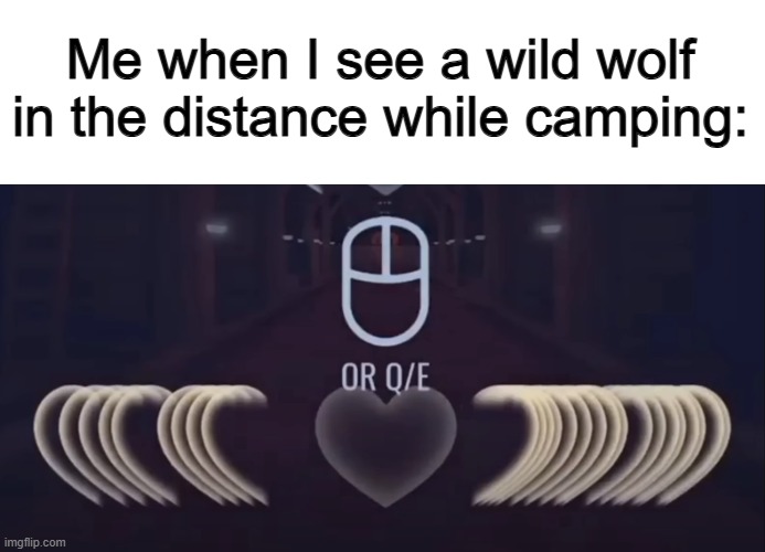 Heartbeat go BRRRR (True story 0-0) | Me when I see a wild wolf in the distance while camping: | made w/ Imgflip meme maker