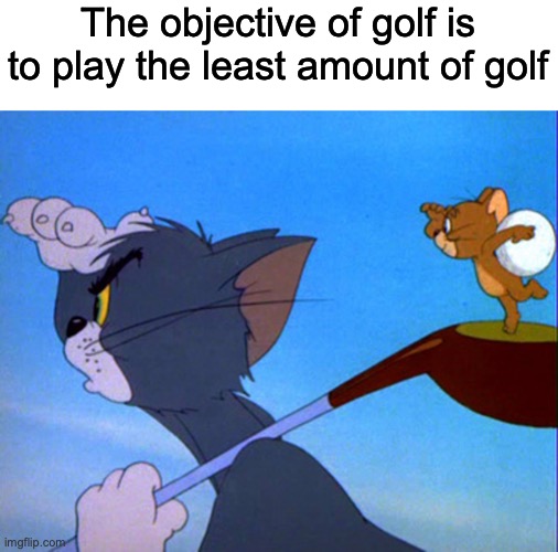 Questions, we need answers | The objective of golf is to play the least amount of golf | image tagged in tom playing golf | made w/ Imgflip meme maker