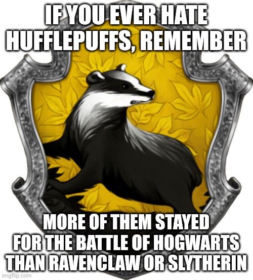 Also tonks was a hufflepuff | IF YOU EVER HATE HUFFLEPUFFS, REMEMBER; MORE OF THEM STAYED FOR THE BATTLE OF HOGWARTS THAN RAVENCLAW OR SLYTHERIN | image tagged in i don't care about tags,hufflepuff,yay | made w/ Imgflip meme maker