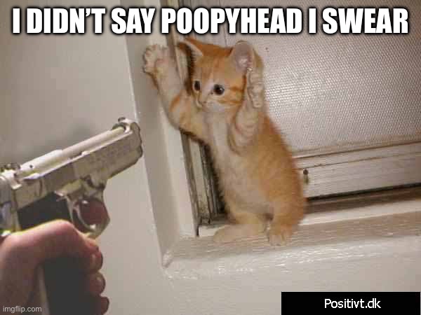 hands up kitty | I DIDN’T SAY POOPYHEAD I SWEAR | image tagged in hands up kitty | made w/ Imgflip meme maker