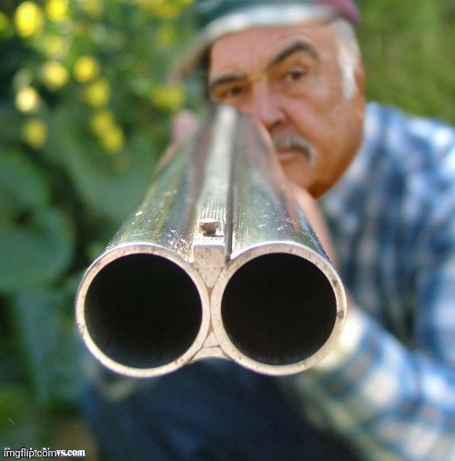 Connery Shotgun | image tagged in connery shotgun | made w/ Imgflip meme maker