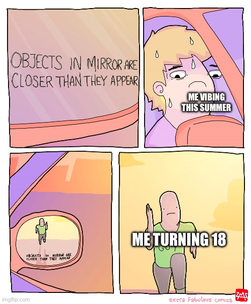 I really need to leave this website | ME VIBING THIS SUMMER; ME TURNING 18 | image tagged in objects in mirror are closer than they appear | made w/ Imgflip meme maker