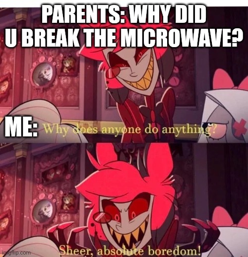 Why does anyone do anything? Sheer, absolute boredom! | PARENTS: WHY DID U BREAK THE MICROWAVE? ME: | image tagged in why does anyone do anything sheer absolute boredom | made w/ Imgflip meme maker