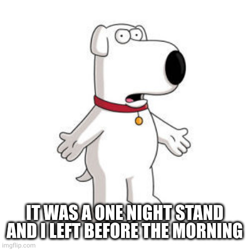 Family Guy Brian Meme | IT WAS A ONE NIGHT STAND AND I LEFT BEFORE THE MORNING | image tagged in memes,family guy brian | made w/ Imgflip meme maker
