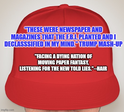 Let the Sunshine in. | "THESE WERE NEWSPAPER AND MAGAZINES THAT THE F.B.I. PLANTED AND I DECLASSSIFIED IN MY MIND." TRUMP MASH-UP; "FACING A DYING NATION OF MOVING PAPER FANTASY,
LISTENING FOR THE NEW TOLD LIES."--HAIR | image tagged in trump hat | made w/ Imgflip meme maker