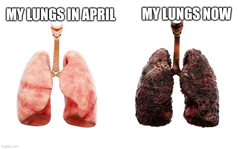 I hate Indiana | MY LUNGS NOW; MY LUNGS IN APRIL | image tagged in indian,indiana | made w/ Imgflip meme maker