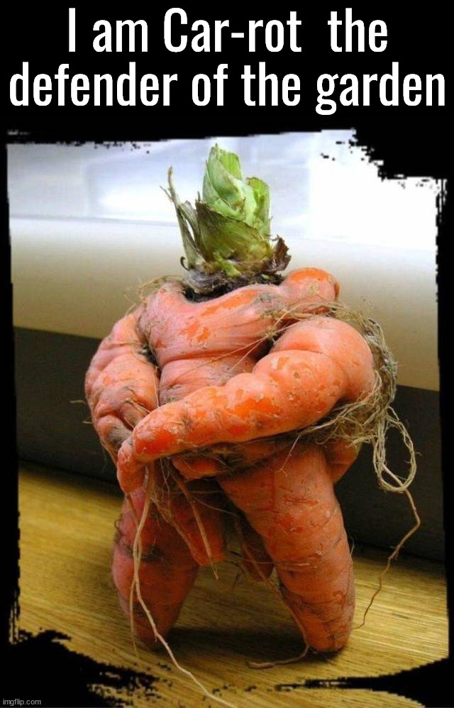 Arch enemy is the Rabbit, who does not carrot for him | I am Car-rot  the defender of the garden | image tagged in totally looks like,vegetables,carrots | made w/ Imgflip meme maker