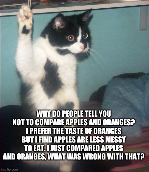 We should compare apples and oranges | WHY DO PEOPLE TELL YOU NOT TO COMPARE APPLES AND ORANGES? I PREFER THE TASTE OF ORANGES BUT I FIND APPLES ARE LESS MESSY TO EAT. I JUST COMPARED APPLES AND ORANGES, WHAT WAS WRONG WITH THAT? | image tagged in question cat | made w/ Imgflip meme maker