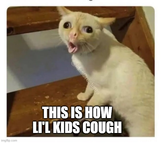Coughing Cat | THIS IS HOW LI'L KIDS COUGH | image tagged in coughing cat | made w/ Imgflip meme maker