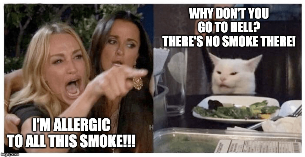 No Smoke in Hell, Says Smudge | WHY DON'T YOU GO TO HELL? THERE'S NO SMOKE THERE! I'M ALLERGIC TO ALL THIS SMOKE!!! | image tagged in smudge the cat,woman yelling at cat,go to hell | made w/ Imgflip meme maker