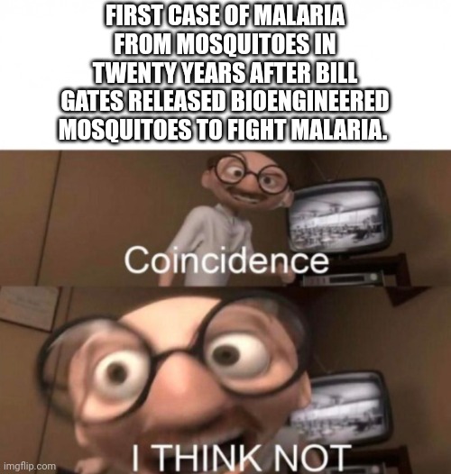 Bill gates mosquitoes | FIRST CASE OF MALARIA FROM MOSQUITOES IN TWENTY YEARS AFTER BILL GATES RELEASED BIOENGINEERED MOSQUITOES TO FIGHT MALARIA. | image tagged in coincidence i think not | made w/ Imgflip meme maker