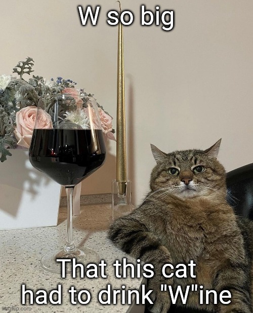 W so big That this cat had to drink "W"ine | made w/ Imgflip meme maker