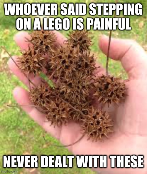 They’re called gumballs and they’re a menace to society (mod note: I lived where that grew) | WHOEVER SAID STEPPING ON A LEGO IS PAINFUL; NEVER DEALT WITH THESE | image tagged in spiky,ow,lego | made w/ Imgflip meme maker