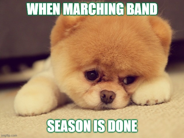 band season is over | WHEN MARCHING BAND; SEASON IS DONE | image tagged in sad face | made w/ Imgflip meme maker