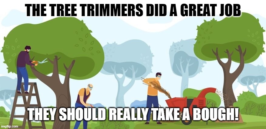 Tree Trimmers Should Take a Bough | THE TREE TRIMMERS DID A GREAT JOB; THEY SHOULD REALLY TAKE A BOUGH! | image tagged in tree,dad joke | made w/ Imgflip meme maker