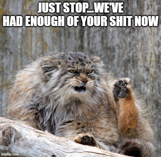 stop | JUST STOP...WE'VE HAD ENOUGH OF YOUR SHIT NOW | image tagged in cat | made w/ Imgflip meme maker