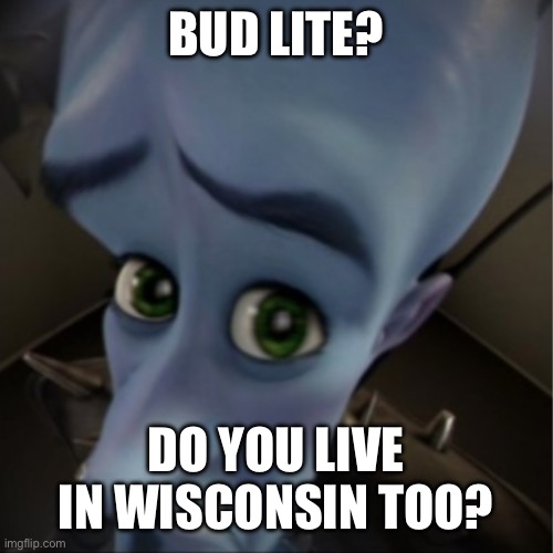 Megamind peeking | BUD LITE? DO YOU LIVE IN WISCONSIN TOO? | image tagged in megamind peeking | made w/ Imgflip meme maker