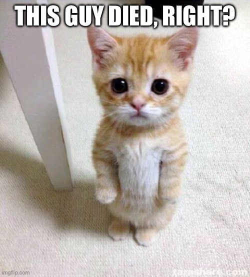 Cute Cat | THIS GUY DIED, RIGHT? | image tagged in memes,cute cat | made w/ Imgflip meme maker