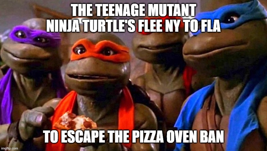 Turtle's Flee NY | THE TEENAGE MUTANT NINJA TURTLE'S FLEE NY TO FLA; TO ESCAPE THE PIZZA OVEN BAN | image tagged in turtle's flee ny | made w/ Imgflip meme maker