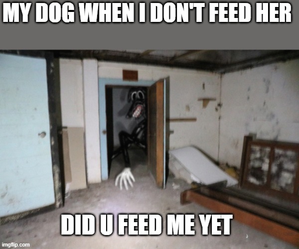 Cartoon Dog | MY DOG WHEN I DON'T FEED HER; DID U FEED ME YET | image tagged in cartoon dog | made w/ Imgflip meme maker