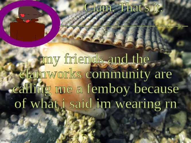 vrgfw | my friends and the clamworks community are calling me a femboy because of what i said im wearing rn | made w/ Imgflip meme maker