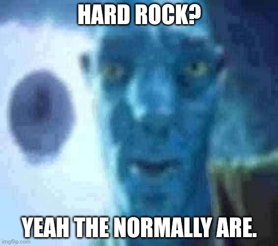 Avatar guy | HARD ROCK? YEAH THE NORMALLY ARE. | image tagged in avatar guy | made w/ Imgflip meme maker