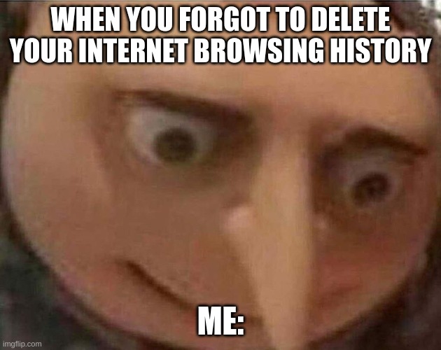 im dead | WHEN YOU FORGOT TO DELETE YOUR INTERNET BROWSING HISTORY; ME: | image tagged in gru meme | made w/ Imgflip meme maker