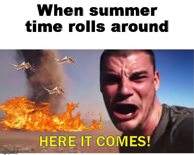 Gotta love fire and mosquitos! | When summer time rolls around; HERE IT COMES! | image tagged in here it come meme,summer,pain | made w/ Imgflip meme maker