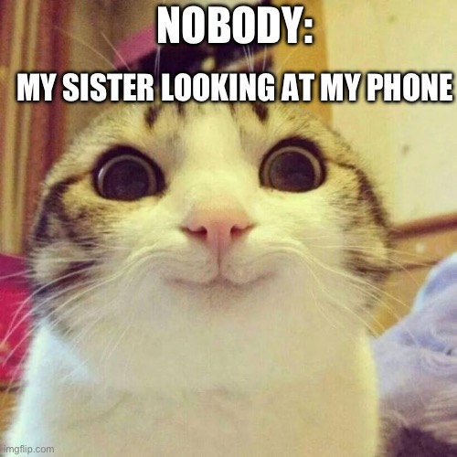 Smiling Cat Meme | NOBODY:; MY SISTER LOOKING AT MY PHONE | image tagged in memes,smiling cat | made w/ Imgflip meme maker