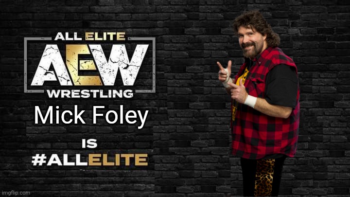 Won't be surprised if he goes to AEW as commentator | Mick Foley | image tagged in is all elite | made w/ Imgflip meme maker