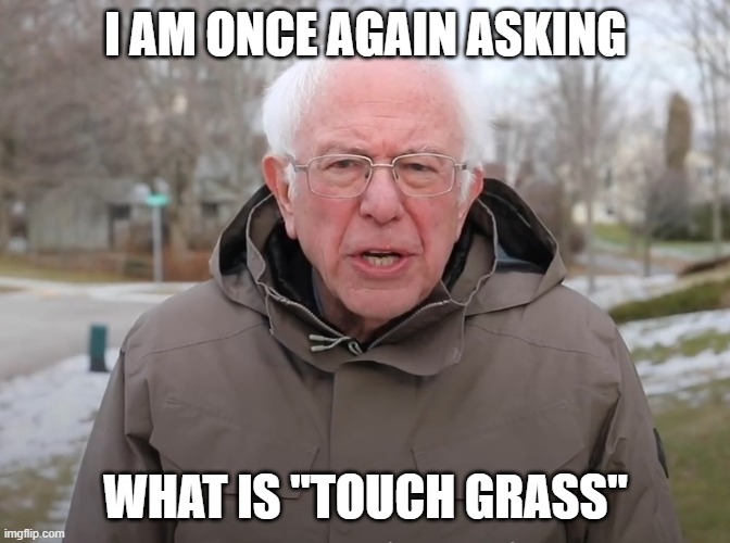 really, what is it? | I AM ONCE AGAIN ASKING; WHAT IS "TOUCH GRASS" | image tagged in bernie sanders once again asking | made w/ Imgflip meme maker